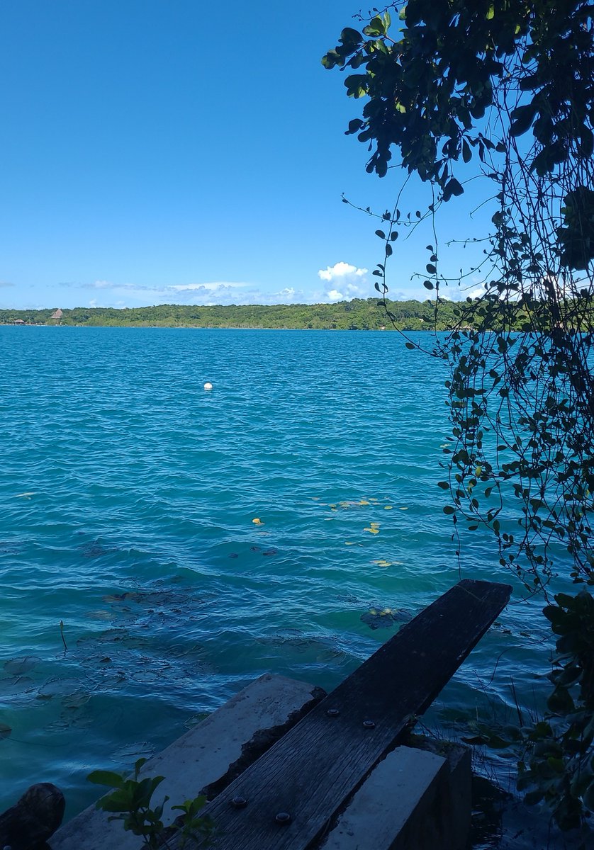metes tus piecitos en la laguna de bacalar e inmediatamente piensas ummm no todo es tan horrible