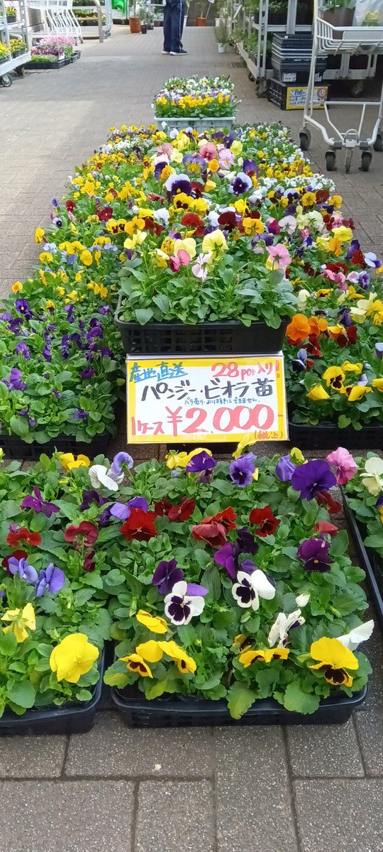 ワールドフラワー大和店 on X