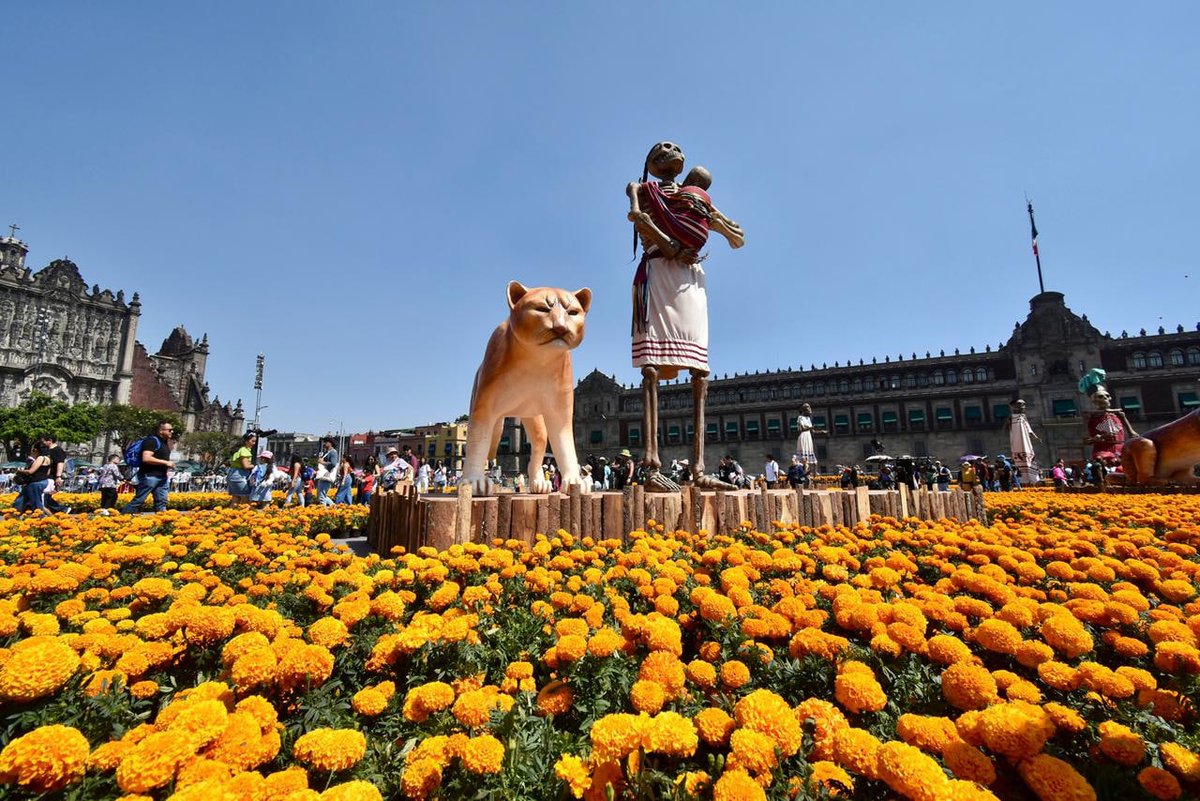 El Zócalo de la Ciudad de México volvió a llenarse de símbolos, colores y narrativas. Este #DíaDeMuertos2025, la ofrenda monumental celebra a las diosas mesoamericanas Tonantzin, Ixmucané, Cuerauáperi, la Reina Roja, Xonaxi, como portadoras de vida, linaje y memoria.

Un diálogo