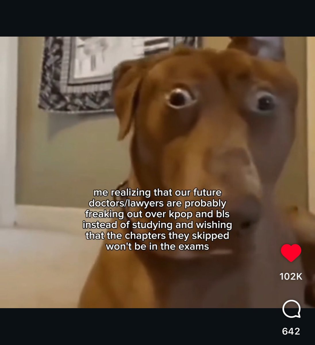 bootoobs tweet media