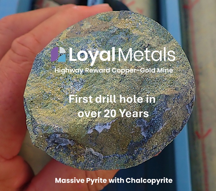 Loyal Metals tweet media