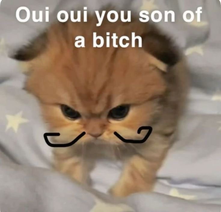 Had to take my pc to the store but I forgot this was my lock screen until I got back in the car to drive away…