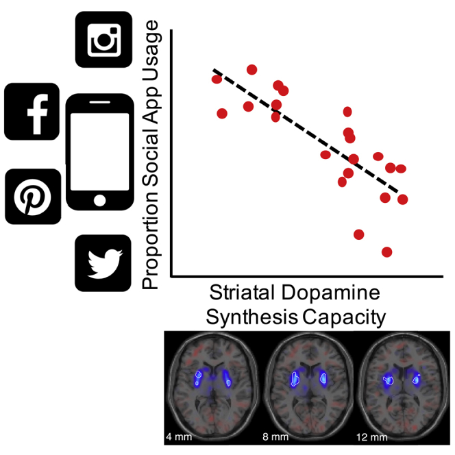 jack_schroder_'s tweet image. The average person spends over 4 hours on their phone daily - that’s 1550 hours/year, or 65 full days staring at a screen.

In the same amount of time, you could:
- Read 80–100 books
- Learn a new language fluently
- Meditate an hour daily &amp;amp; still have 1200+ hrs left
- Get 4 hrs…