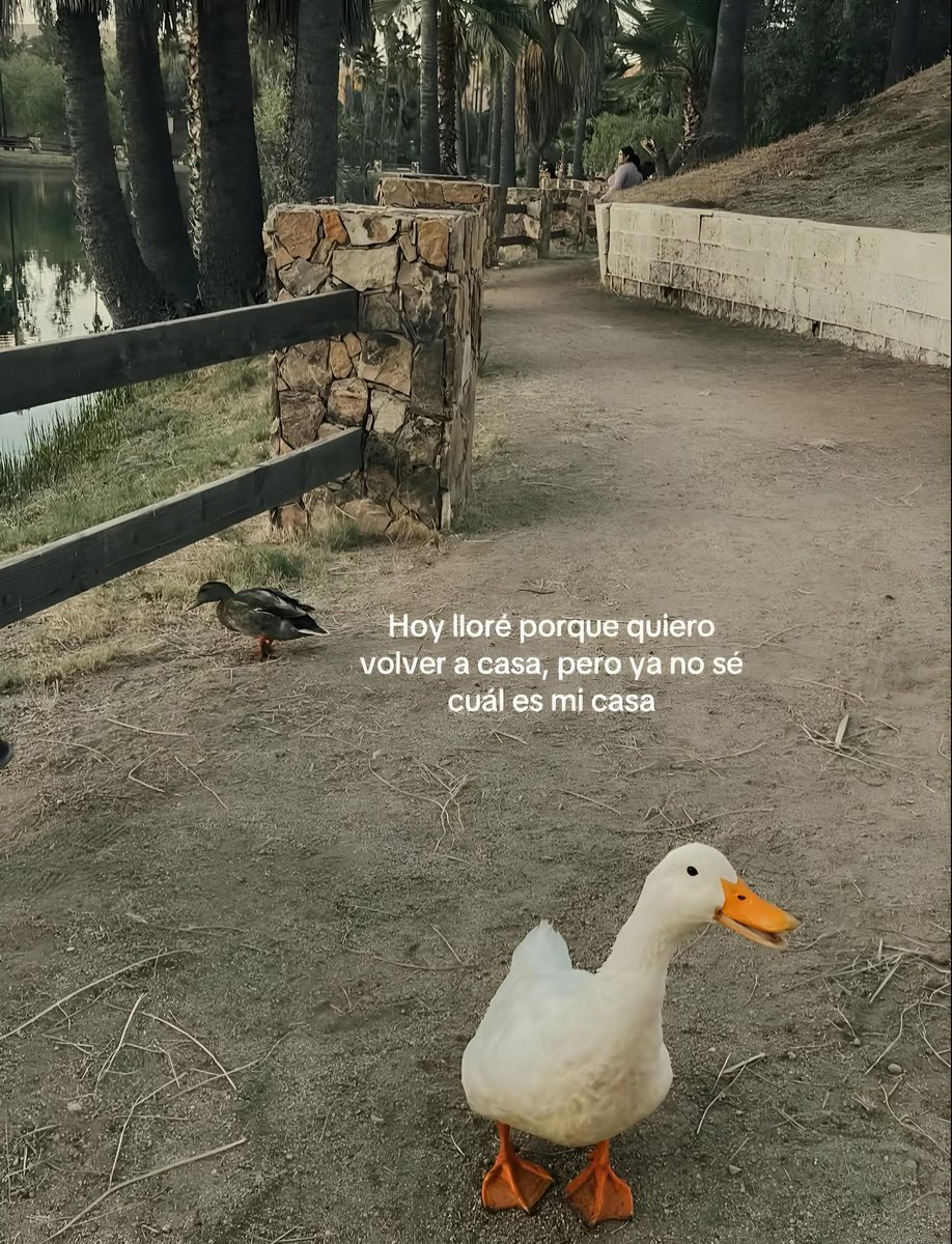 Lonely🥀 tweet media