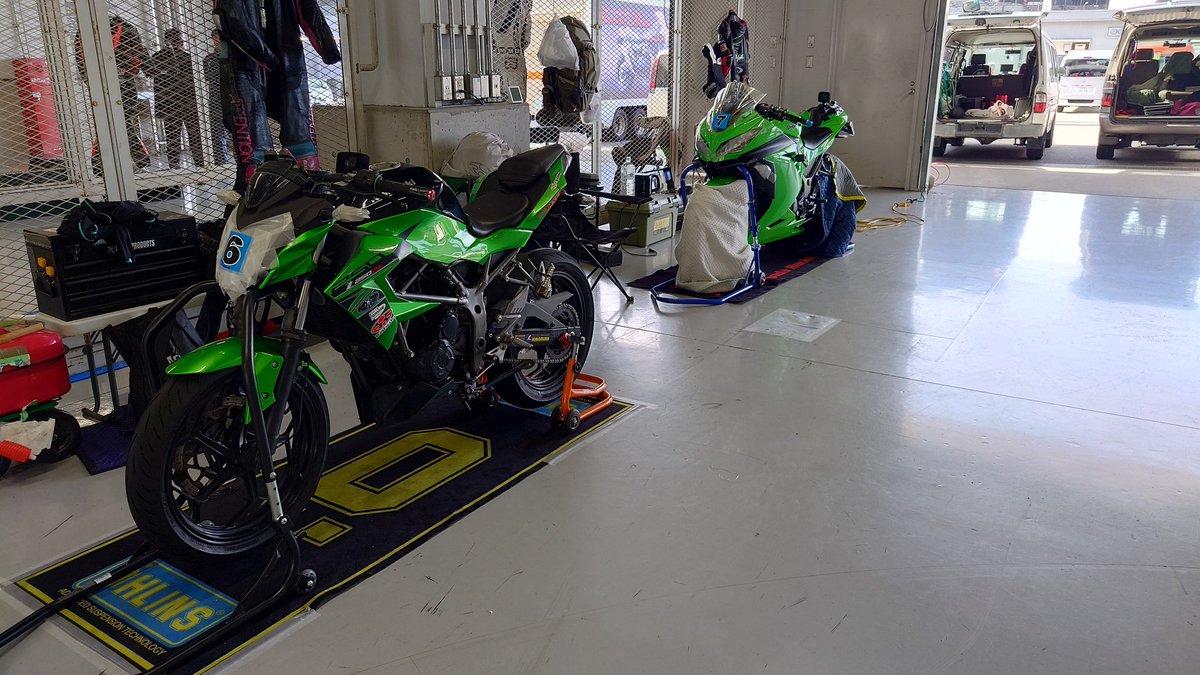 稀少　ホワイトスカンク　goro's等のカスタムに　46 稀少 ホワイトスカンク goro's等のカスタムに 46