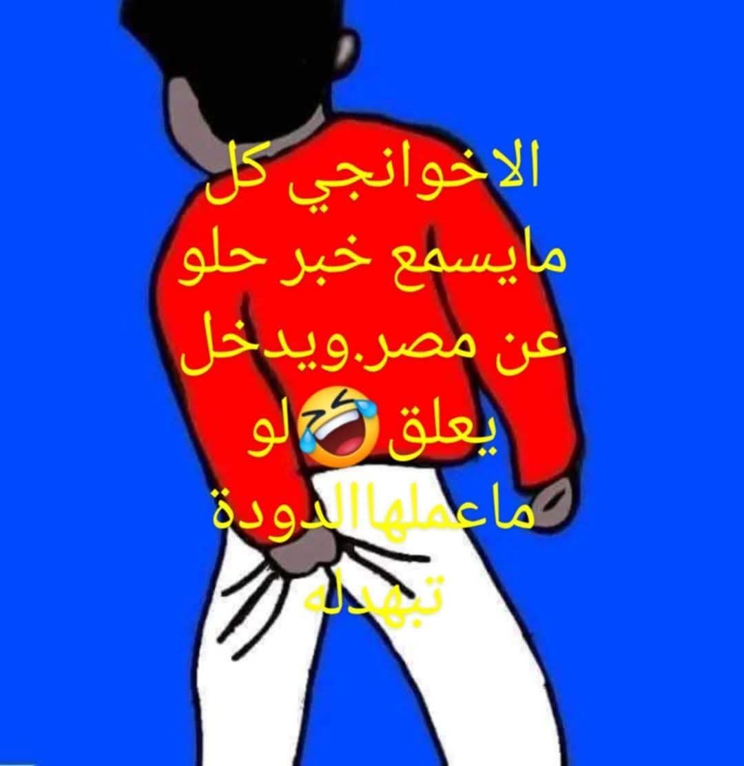 محمود السيد tweet media