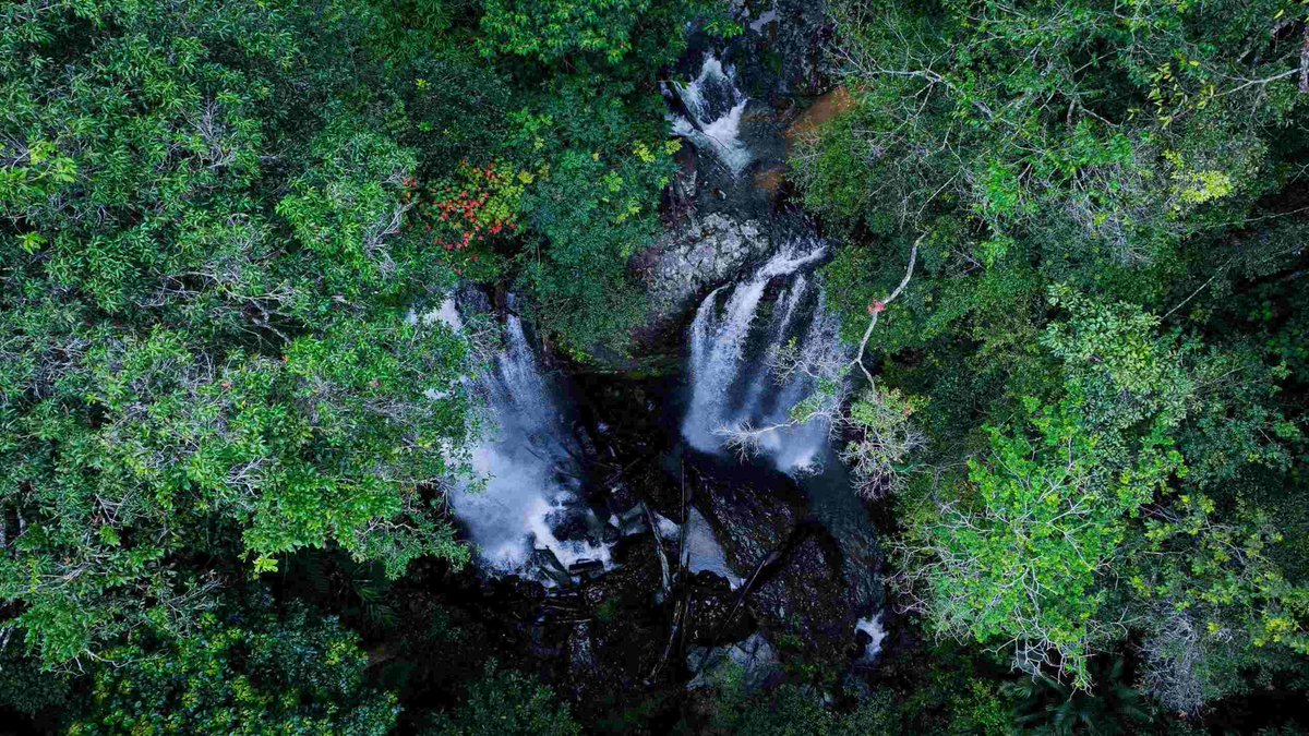 NoiTour56002's tweet photo. Located in Mang Den commune, Quang Ngai province, Monkey waterfall is located in the heart of the Upper Kon Tum lake and is an ideal destination for those who love to conquer and explore wild nature. 
Photo: To Den
#monkeywaterfall https://t.co/pPLK0vGQKu