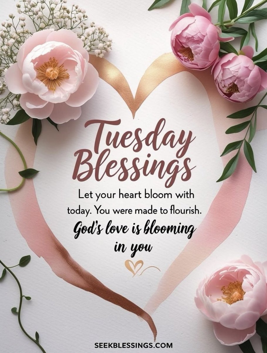 WVHPMinistries's tweet photo. Tuesday Blessings #WVHP #TuesdayChooseday #TuesdayMotivations #TuesdayBlessings #TuesdayBlessing https://t.co/DaE9gZOkhW