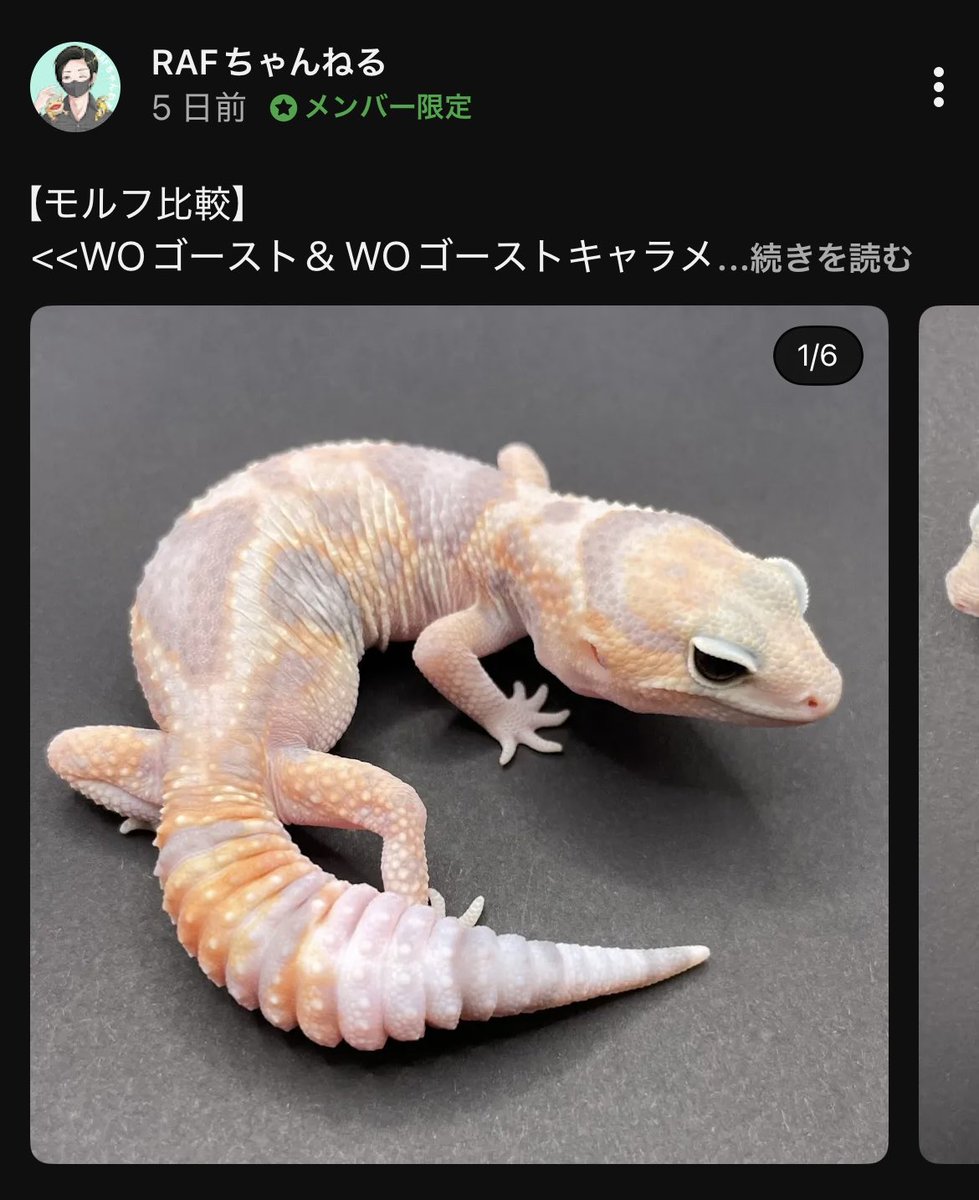 RAFちゃんねる / 有馬 on X