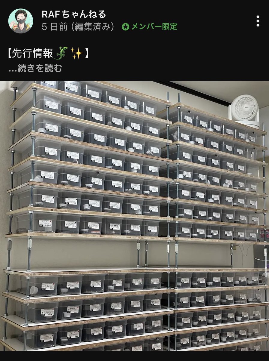 RAFちゃんねる / 有馬 on X