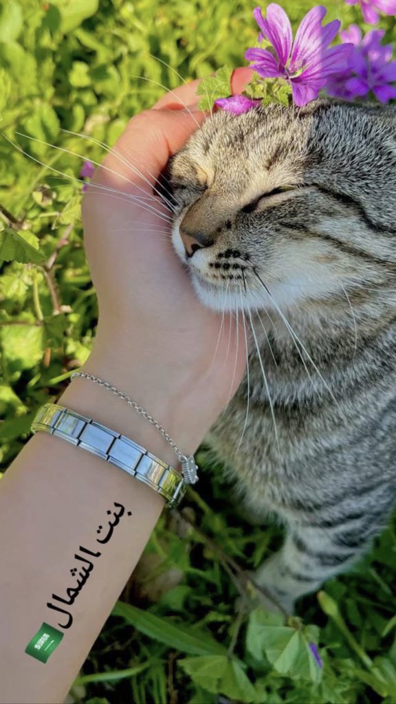 رسالة صباحية. ❤️❤️❤️❤️
اثر الغلا. والحب ماهو بشوف ٠٠٠
كم. شخص يعشق شخص. ولا شافه ٠٠
الحب فجأة يسكن القلب والجوف 
وأغلب بدايات الغلا صدفة.  ❤️❤️