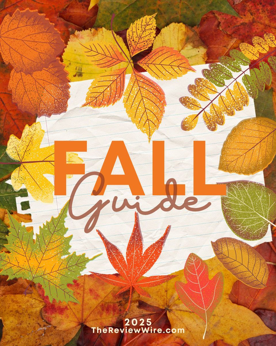 TheReviewWire's tweet image. 🍂 Our 2025 Fall Essentials Guide is packed with cozy picks, seasonal décor, and style must-haves to carry you into the new season. thereviewwire.com/2025-fall-esse… 

#FallEssentials #FallFavorites #HomeDecor #reviewwireguide