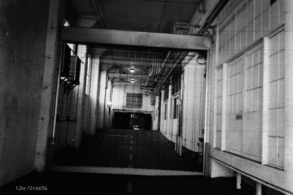 5/11/23, 12:12
016656.jpg [1/1] (12hr)