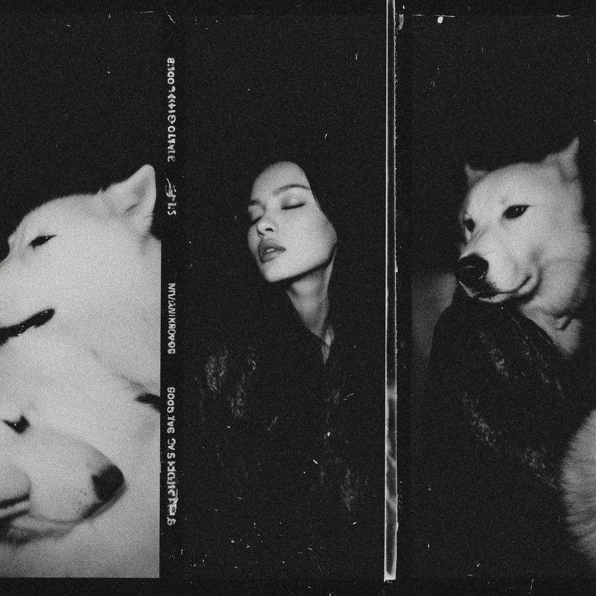 nine_lives_kat's tweet image. Collecting dark-hearted art on tezos 🖤🌒

@VioletBondArt @solyaev @an1eth @coralinesaidso