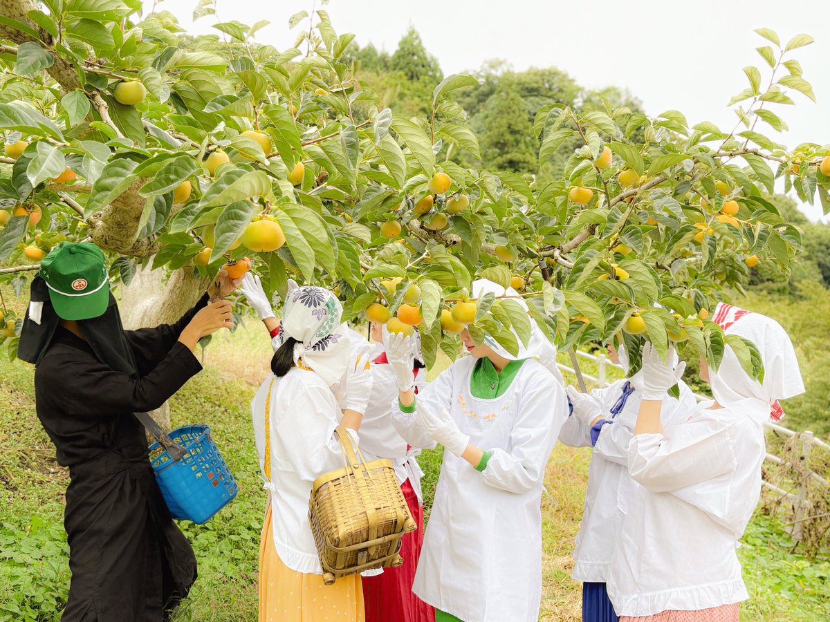 【回覧板１】11/5に2ndアルバム『婦人日和』をリリース！キートラック『トキ！トキ！トキ！』はYMOを支えたクリス・モズデルさんによる書き下ろしの詩を谷川俊太郎さんが和訳したスペシャルな一曲に。そしてアー写公開〜✨写真はもちろん今をときめく川島小鳥さんよ📷絶対チェックしてちょうだいね🏝️🏝️