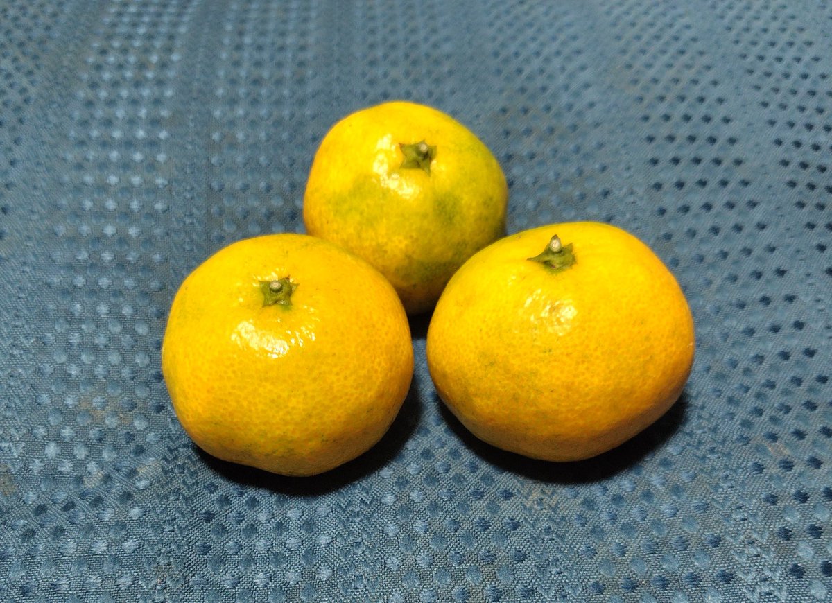 夏爺 (@PbbZVzRXSO3RuDZ) / Posts / X