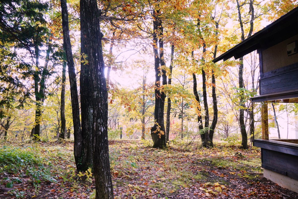ゆこたんの森【岩手 雫石 南網張ありね 温泉】 on X