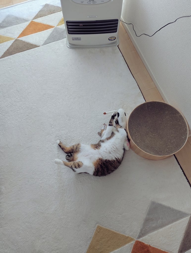 みみみちゃん (@mimimi______64) / Posts / X