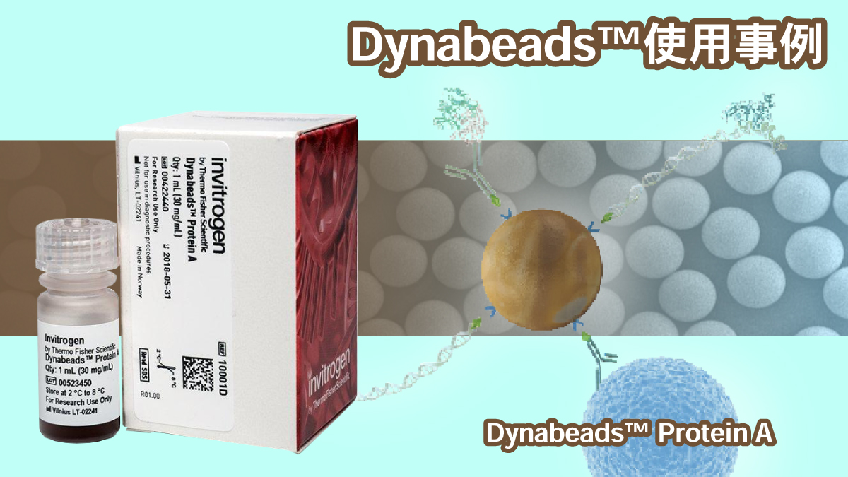 veritastk's tweet image. Concave Magnetic-Responsive Hydrogel Discs for Enhanced Bioassays mdpi.com/3074084 #mdpibiosensors @Biosensors_MDPIより #磁気応答性 #ハイドロゲル #ディスク を用いた #生体 #アッセイ の #開発 で #Dynabeads Protein Aが利用されました