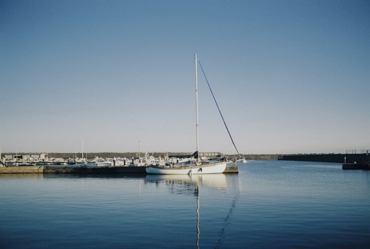 今日の港のひかり ⊹ ࣪ ﹏﹏﹏﹏﹏﹏﹏﹏﹏﹏ 水面の鏡 映画『#港の