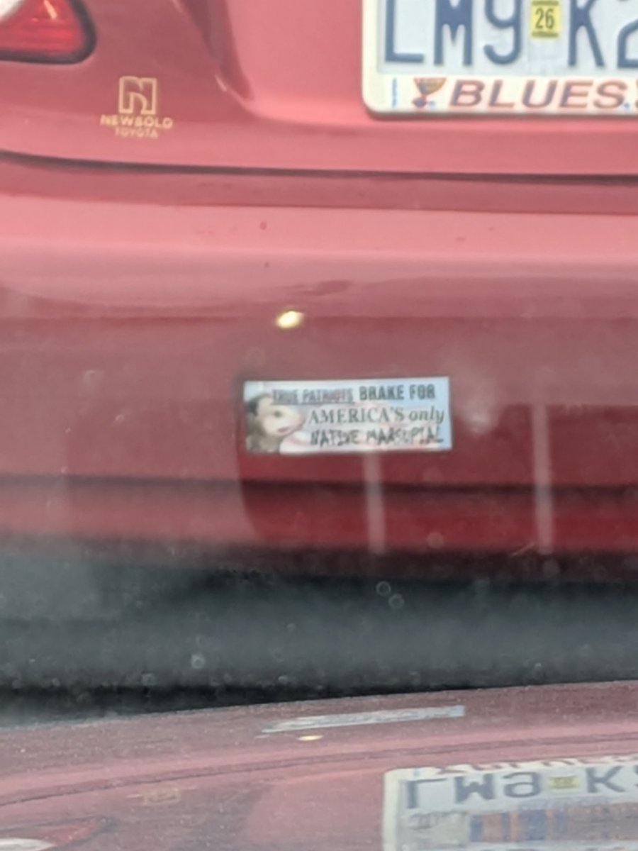 mike_is_back's tweet image. 