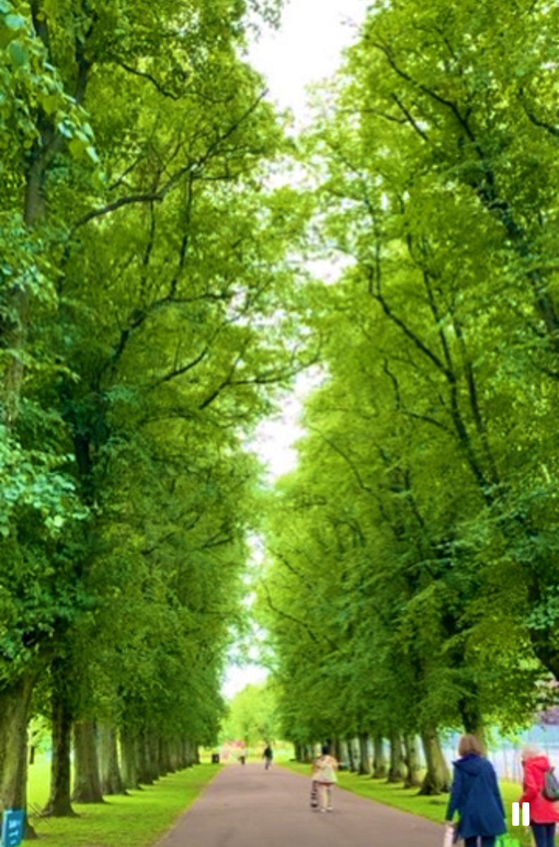 قال تعالى:
﴿ وَإِذَا سَأَلَكَ عِبَادِي عَنِّي فَإِنِّي قَرِيبٌۖ أُجِيبُ دَعْوَةَ الدَّاعِ إِذَا دَعَانِ ﴾ [البقرة: 186] 

يخبر الله تعالى نبيه ﷺ أن يخبر عباده بأنه قريب منهم قربَ علمٍ ورحمةٍ ولطفٍ واستجابة، لا يحتاجون إلى وساطة ولا شفاعة ليدعوه، بل يكفي أن يرفعوا أيديهم بصدق