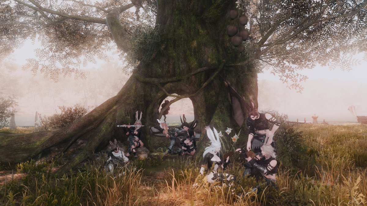 the Viera rested—scarred, tired, alive.