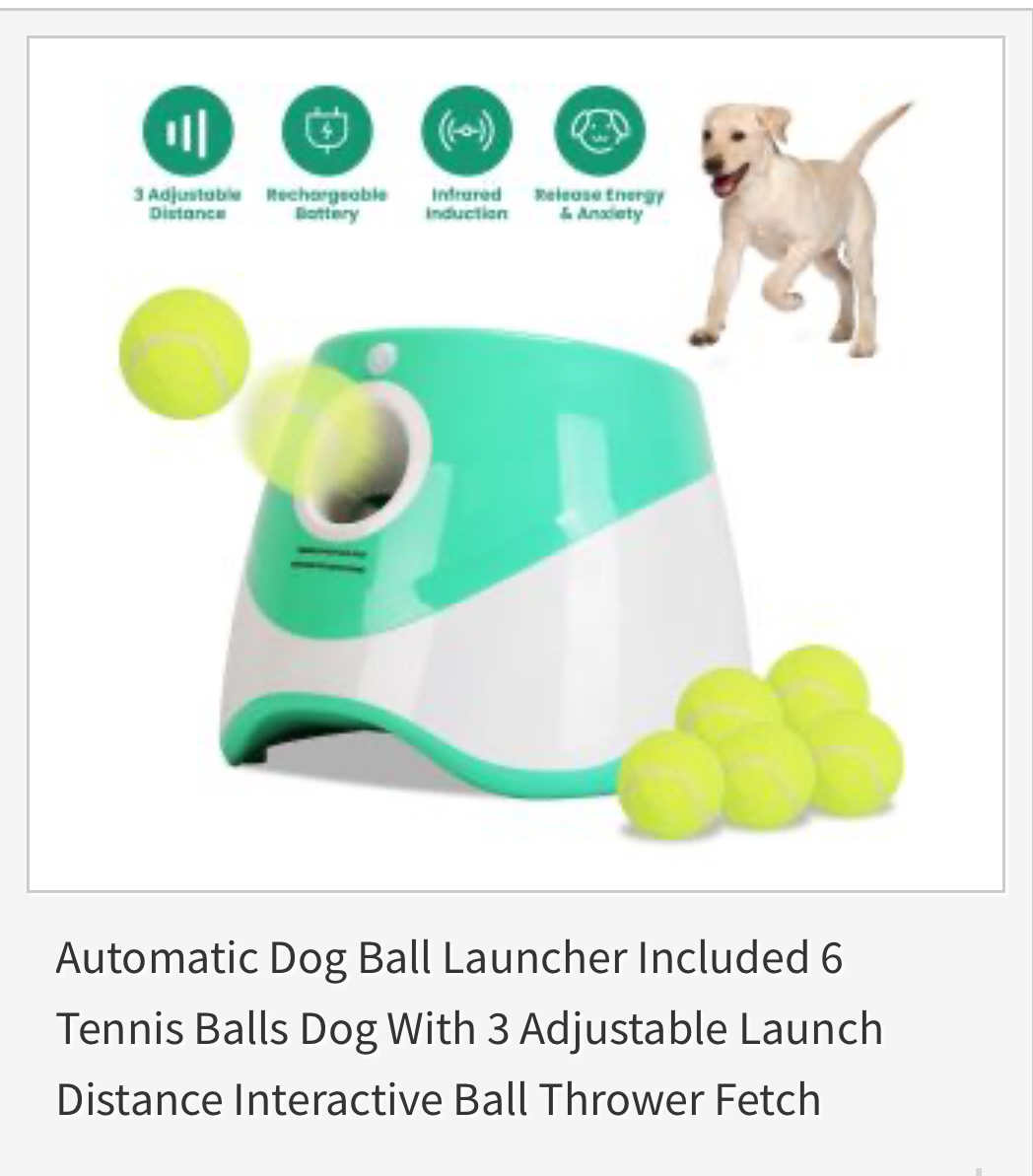 doghubusa's tweet image. 🎾 Ready, set, FETCH! 🐾 Some dogs live for the chase — give your playful pup hours of fun with a ball launcher from DogHubUSA.com! 💕 Watch those happy zoomies go! 🐶
#DogHubUSA #FetchFun #HappyDog #DogToys #PawsomeFinds #PlaytimeJoy #SpoilYourDog