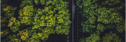 0615Test's tweet image. Bring your business
 
imptr.io/11n4ka0   
 #csp_page:/page/home-page-1112 
#Canon #imageFORCE #CanonAuthorizedDealer