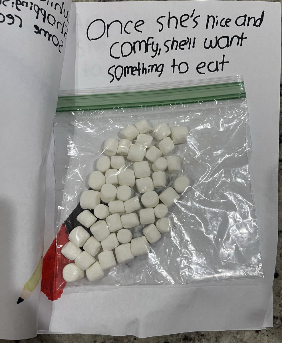 We have a future author/illustrator in the house! 🥰 Was surprised with such a SWEET gift as one of my students wrote her version of “If You Give A Mouse A Cookie.” 🍪 #BlessedWithTheBest #BeaksUp