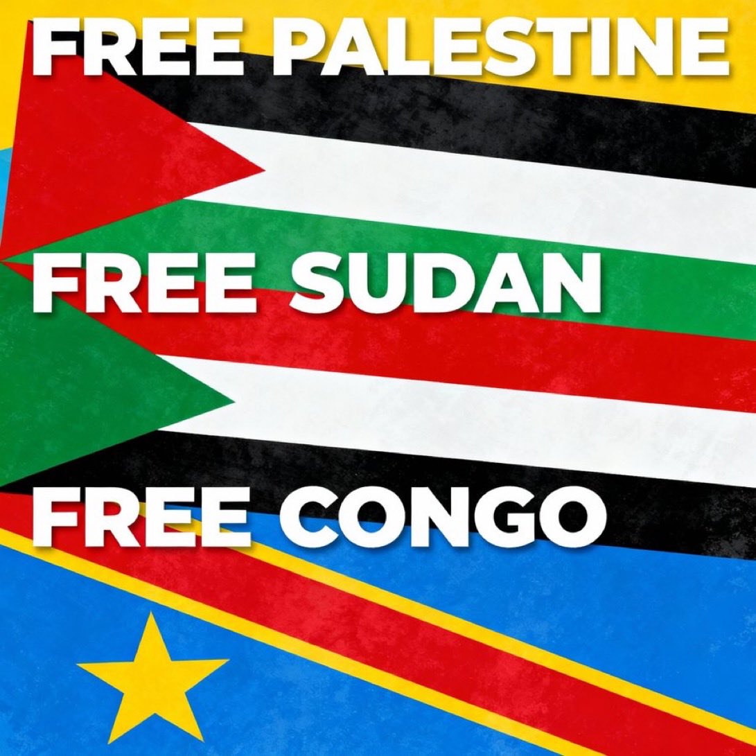7MohammedKhaled's tweet image. FREE PALESTINE 🇵🇸 

FREE SUDAN 🇸🇩 

FREE CONGO 🇨🇩