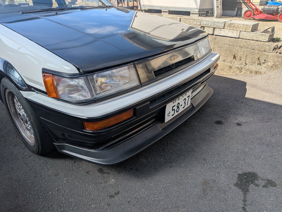 とよちゃん 71lZTcHNVpL._AC_UF1000,