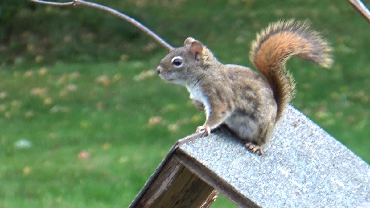 A JOYFUL DAY TO YOU!
<a href="/morinagachalk/">森永チョーク</a>
<a href="/kosk_fotosound/">kosk</a> <a href="/EvShorinji50/">錫杖こぞう</a>  <a href="/TBbgWOBzTx2Bgu4/">きょたささらぞう</a> <a href="/RuoXi31355/">若松実喜男</a> <a href="/ghilbatoro/">圧倒的shimayoshi</a> <a href="/yu5124/">優</a> <a href="/kagayaki604/">光🍀✽.｡.:・ﾟ</a> <a href="/u_zensai_y/">農業生産法人　然菜</a> <a href="/Br9Pj/">しんこ</a> <a href="/55iCA8UxJkfhhEc/">飲んべえ</a> <a href="/hiruma_kuki/">晝間玖生</a> @hiro_torazuki <a href="/Ngkz_Ishichan/">いしちゃん</a> <a href="/hashiru_higuma/">走るヒグマ🐻</a> <a href="/tetutora334/">てっちゃん</a> <a href="/horrorlove_2/">ホラー暫く不定期浮上【気持ちが落ちたら少しだけ浮上👋】</a> <a href="/CROWSOFGANGSTA/">愚連の鴉</a> <a href="/horrorlove_2/">ホラー暫く不定期浮上【気持ちが落ちたら少しだけ浮上👋】</a>