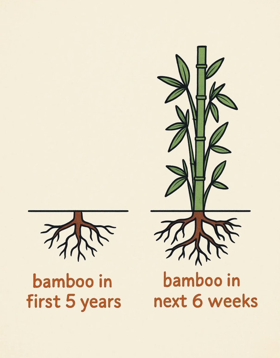 Growth takes time.