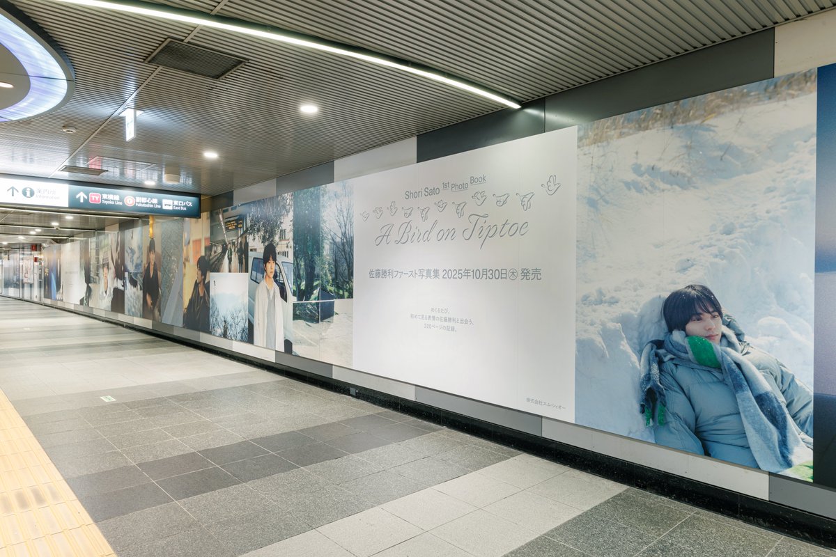 佐藤勝利1st写真集『A Bird on Tiptoe』🕊️
˗ˏˋ 渋谷駅にて広告を掲出中！（〜11/2） ˎˊ˗

❏掲載場所①
東京メトロ渋谷駅B2Fコンコースにて大型広告

※ご覧になる場合は、周囲の安全に配慮をお願いいたします。
※駅係員へのお問い合わせはご遠慮ください。