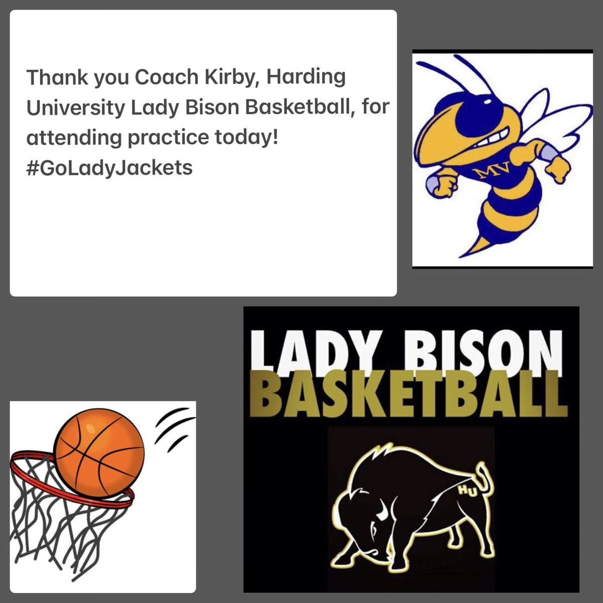 Mountain View Lady Yellowjacket Basketball tweet media