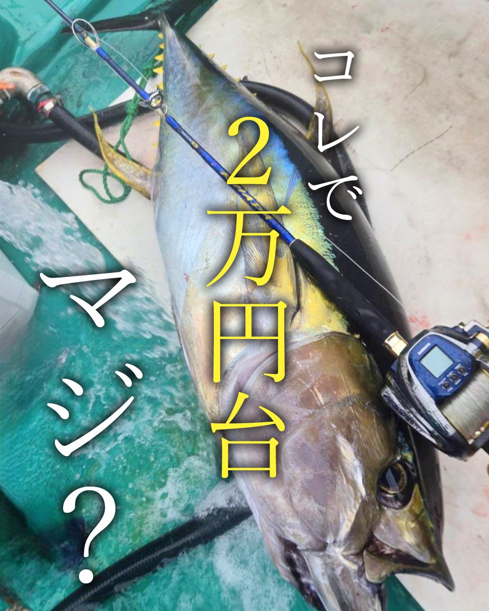 極覇礁 ダイワ モンスタートルク 口太 MH-53 - 上島釣具店