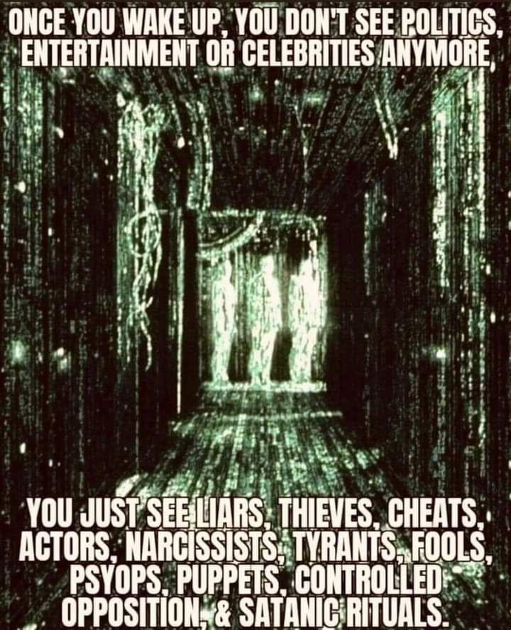 redpillb0t's tweet image. 