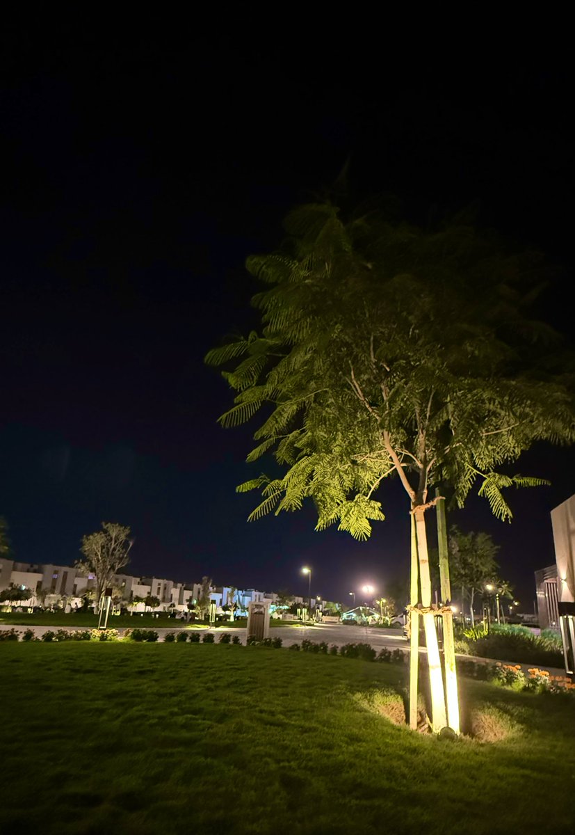 منيرة ال سالم ♿️🎗 tweet media