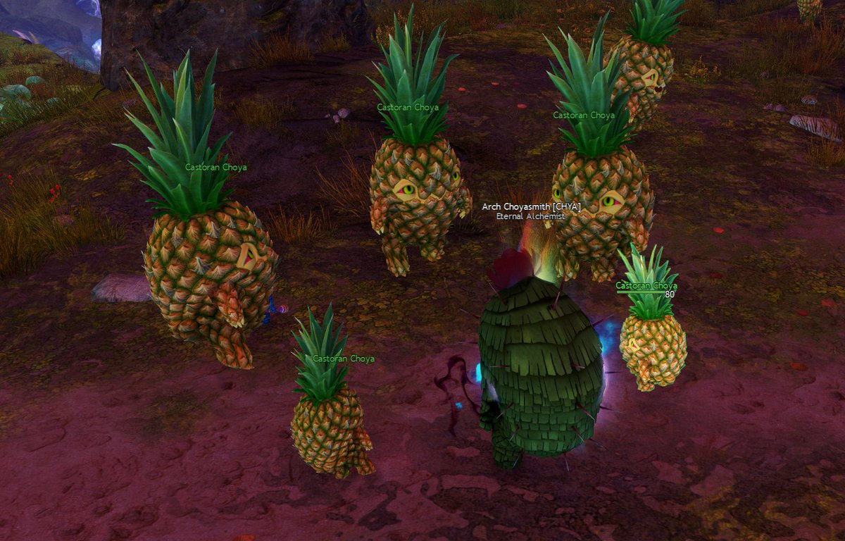 We all know this is the best part of the new GW2 xpac so far. PINEAPPLE CHOYA'S #guildwars2