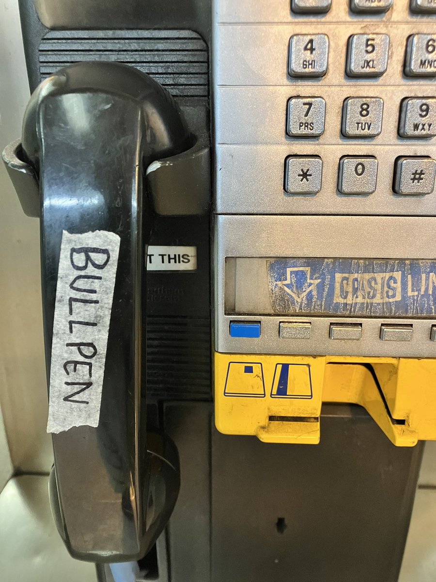 Lanie Treen tweet media