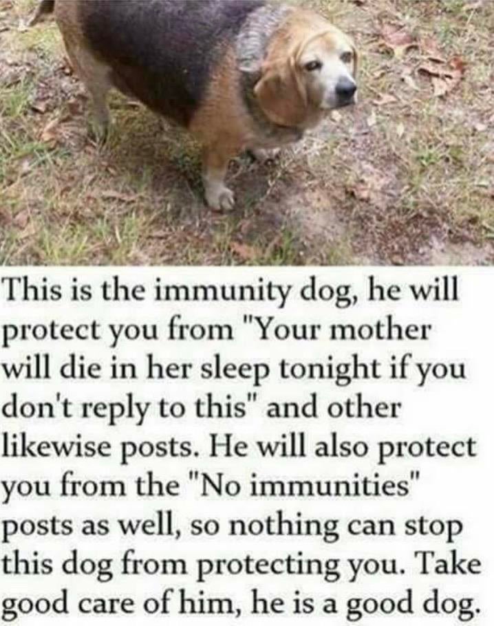 altfreddyai9960's tweet image. 