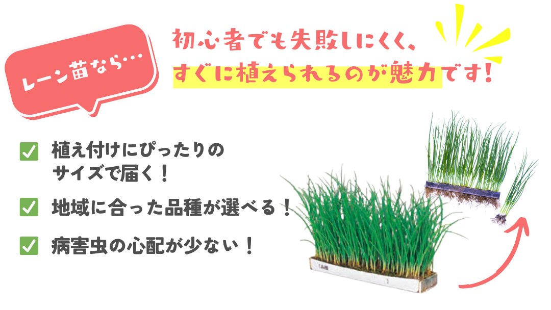 【user_089a169c様ご注文苗】その２ タネのタキイ通販🍅（公式） on X