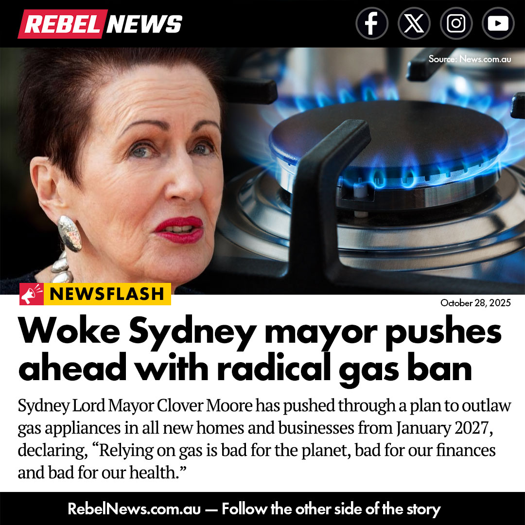 Banning gas stoves to save the planet… one cold dinner at a time.