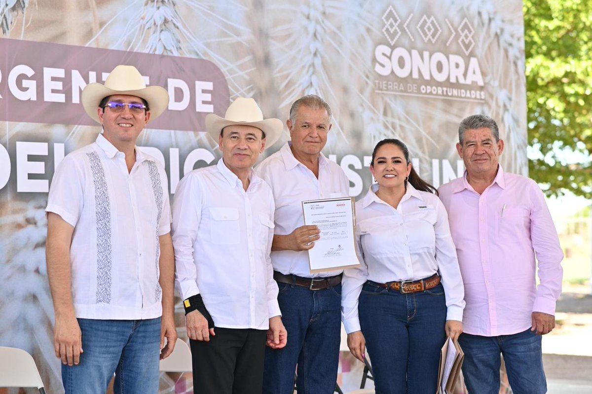 CelidaLopezc's tweet image. Gracias al acuerdo encabezado por el gobernador @AlfonsoDurazo, entregamos en el sur del estado los apoyos del Programa Emergente de apoyo a productores de trigo cristalino 2024–2025, con una inversión de 35 millones de pesos que respalda el esfuerzo de los productores…