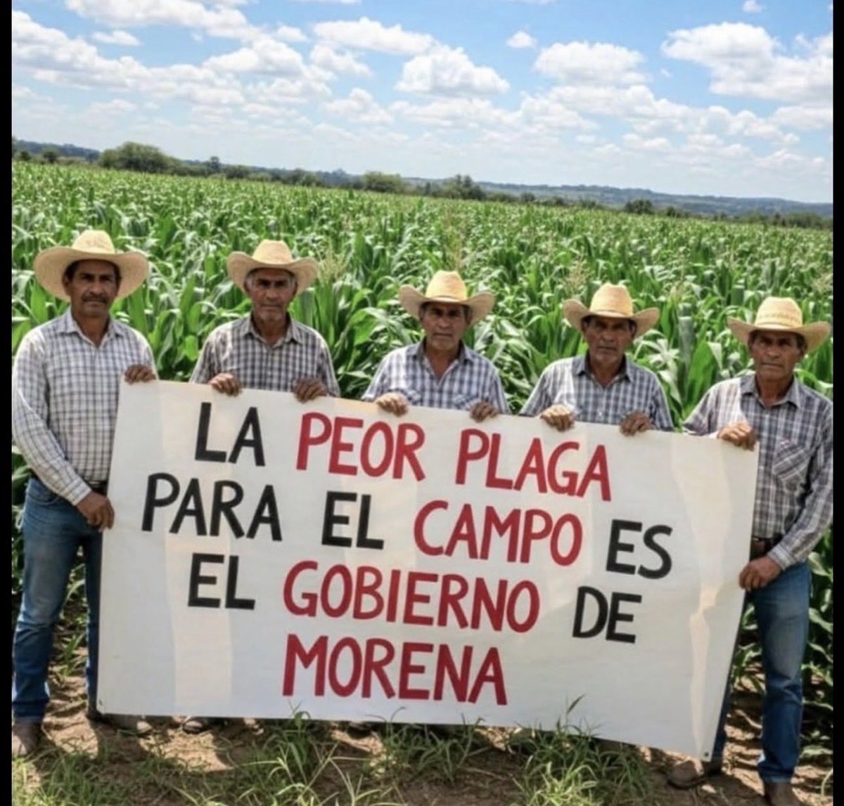 LaloUrbanoM's tweet image. #Campesinos #Agrucultores  #México 🇲🇽