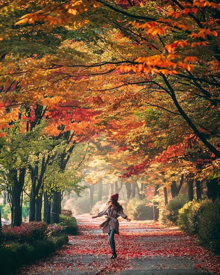 Good morning！
Have a wonderful day🍂