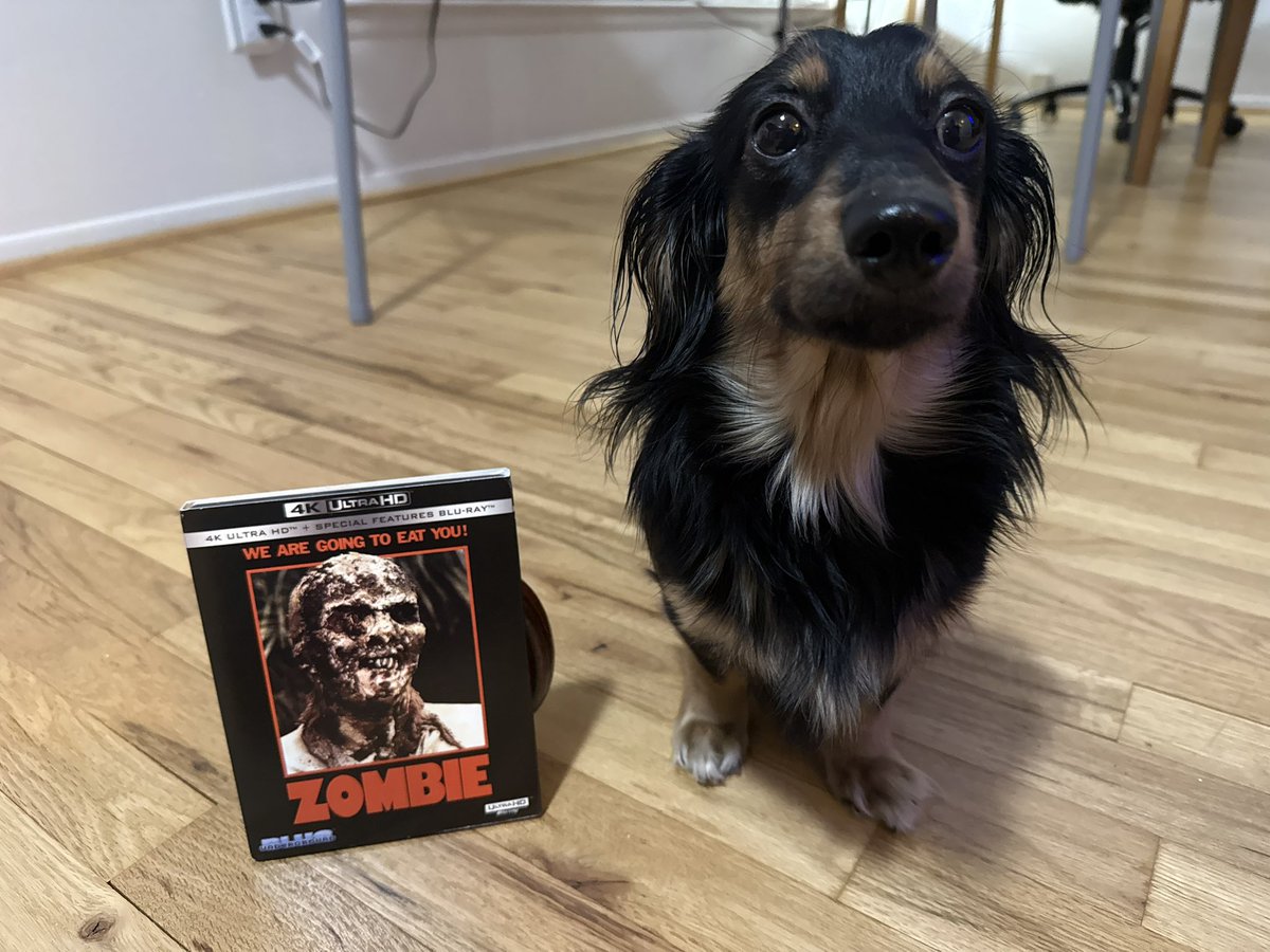 31 Nights of Halloween with Josie continues with the 1979 Italian horror film “Zombie” by Lucio Fulci. 🎃❤️🐾