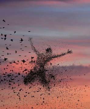 لم يعد هناك مكانا فينا  بدون ألم او وجع ،وحزن  شاب الرأس وانطفى كل ذلك.الشغف لما رسمنا لمستقبلنا  ،وحياتنا واصبحنا لاندري الى اين المصير  ، وكم مسافة هذه الطريق التي نمر بها وهل هي صعود ام نزول ،ونخشى أن ما سنمر به اشد من ما مضى ،وكلما وقعنا في مستنقع الحياة علينا انتجاوز بمفردنا