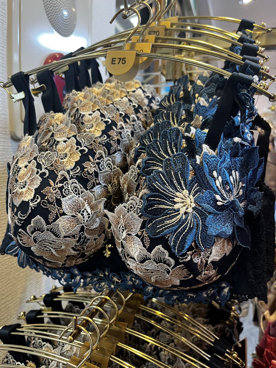 サルート28シリーズ💋 ブラジャーはP-upタイプと店舗限定リッチベール